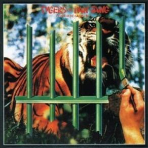 Download track You Always See What You Want To See Tygers Of Pan Tang