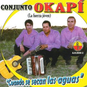 Download track Al Paraje Tacuarita Conjunto Okapi