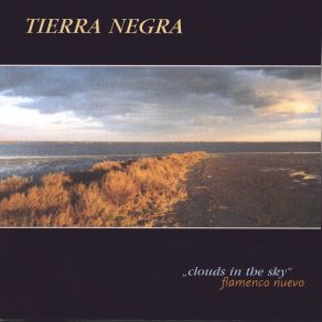 Download track Sedona AnodeS Tierra Negra