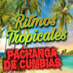 Download track Sancudito Loco Ritmos Latinos