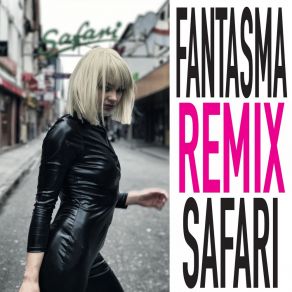 Download track Magnet (Hans Nieswandt Remix) Fantasma Goria