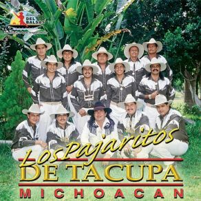 Download track Clave Privada Los Pajaritos De Tacupa Michoacan