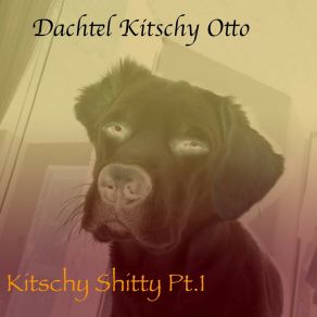 Download track Study Dachtel Kitschy Otto