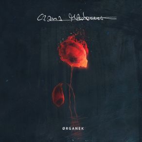 Download track Wiosna Organek