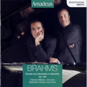 Download track 7.3. Andante Con Moto Johannes Brahms