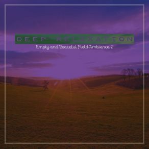 Download track Empty And Peaceful Field Ambience, Pt. 3 Craig Hewitt