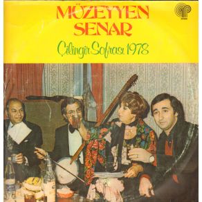 Download track Ayri Düstüm Sevgilimden Müzeyyen Senar