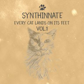 Download track Ice Pole Synthinnate