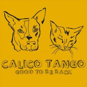 Download track Going Back To Minnesota Calico Tango