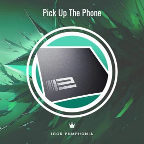 Download track Pick Up The Phone (Dub) Igor Pumphonia