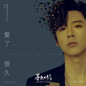 Download track 爱了很久 (电视剧《暮色心约》片尾主题曲）伴奏 Liu Yu Ning