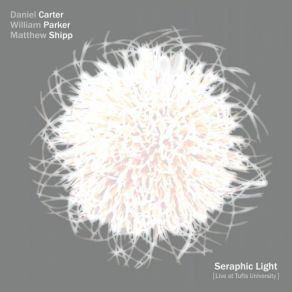 Download track Seraphic Light Part 1 Matthew Shipp, William Parker, Daniel Carter