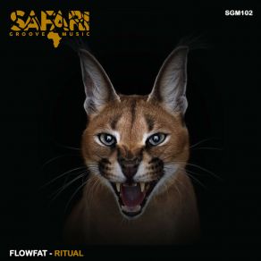 Download track Get Down (Original Mix) FLOWFAT