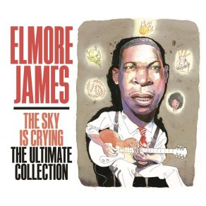 Download track Standing At The Crossroads Elmore James