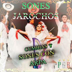 Download track El Pescador Sones Jarochos