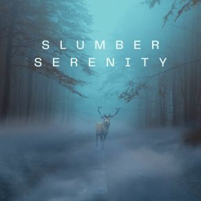 Download track Slumber Serenity Andry King