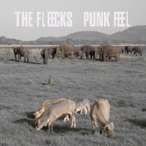 Download track Punk Feel (Outro) The Fleecks