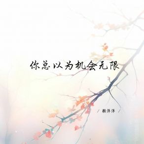 Download track 你总以为机会无限 (深情女生版) 赖洋洋