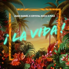 Download track La Vida (Extended) Pule