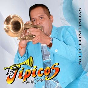 Download track Rata De Dos Patas Los Típicos De La Salsa