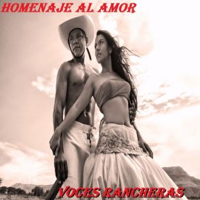 Download track Hermoso Cariño Voces Rancheras