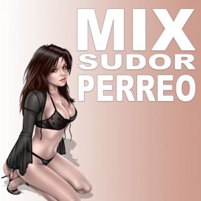 Download track Perreo Árabe, Pt. 2 Axel RMX