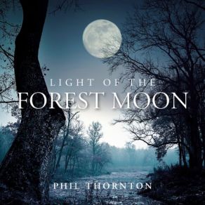 Download track Passing Days & Passing Nights Phil Thornton