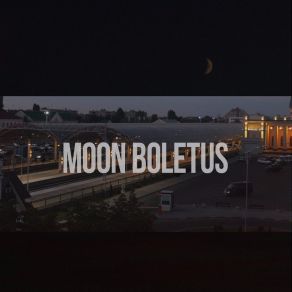 Download track Through The Morning Fog Moon Boletus