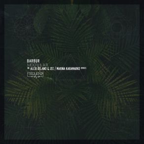 Download track Modular (Alexi Delano & ZEE Remix) BarburZee, Alexi'delano