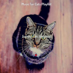 Download track Serene (Relaxing Cats) Music For Cats Playlist