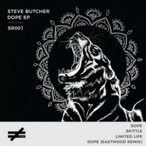 Download track Skittle (Original Mix) Steve Butcher