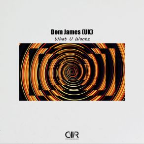 Download track What U Wantz Dom James (UK)