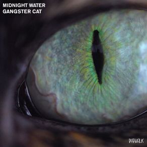 Download track Gangster Cat Midnight Water