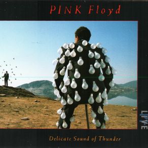 Download track On The Turning Away Pink Floyd