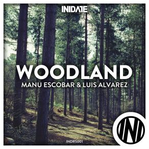 Download track Woodland (Original Mix) Luis Alvarez, Manu Escobar