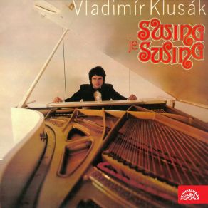 Download track Skočná V Lese Vladimír Klusák