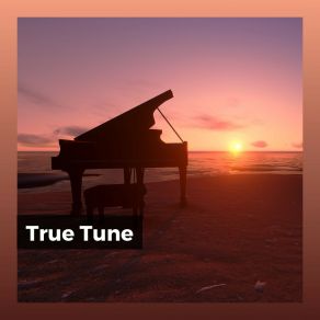 Download track Everlasting Piano Tones Calm Vibes