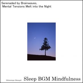 Download track Harmonious Night In The Melodies Of Dream's Embrace Sleep BGM Mindfulness