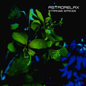 Download track External Time ASTRORELAX