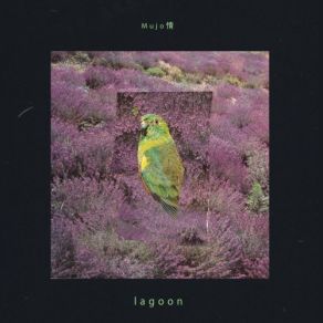 Download track Yellow Frog Mujo