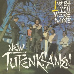 Download track I Wish You Were Mine New Tutenkhamen