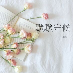 Download track 你就是我的人 默笙