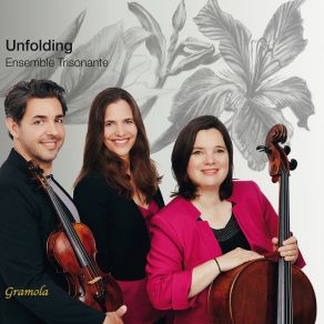 Download track Piano Trio In G Major: IV. Finale. Appassionato Ensemble Trisonate