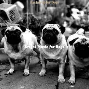 Download track Artistic Ambience For Sleeping Dogs Bright Music For Dogs