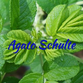 Download track Container Mindful Agato Schulte