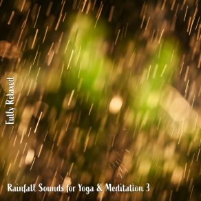 Download track Rainfall Sounds For Yoga & Meditation, Pt. 3 Steve Brassel