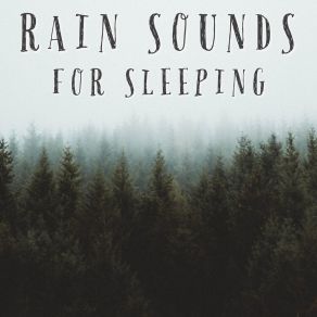 Download track Sleeping Rain Sounds Rain Sounds Sleep