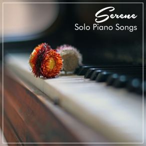 Download track Beethoven's Sonata No 20 In G Major Op 49 No 2 I Allegro Ma Non Troppo Relaxing Music Masters