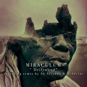 Download track Driftwood (Middelar Remix) Miraculum