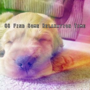 Download track Serene Bed Rest Best Relaxing SPA Music